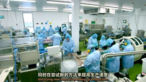香腸工廠新技術過渡 機遇與挑戰并存